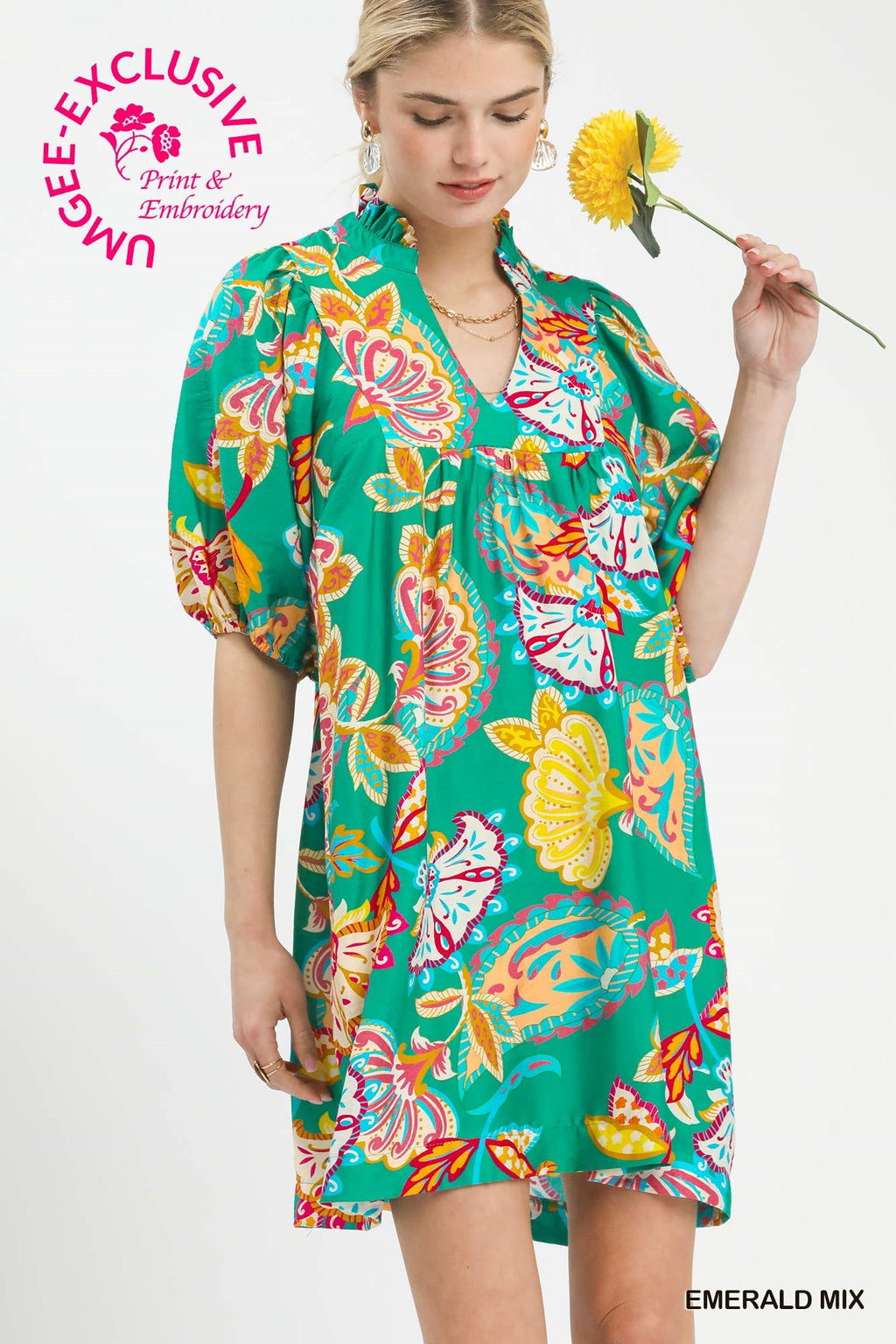 Paisley Print Dress