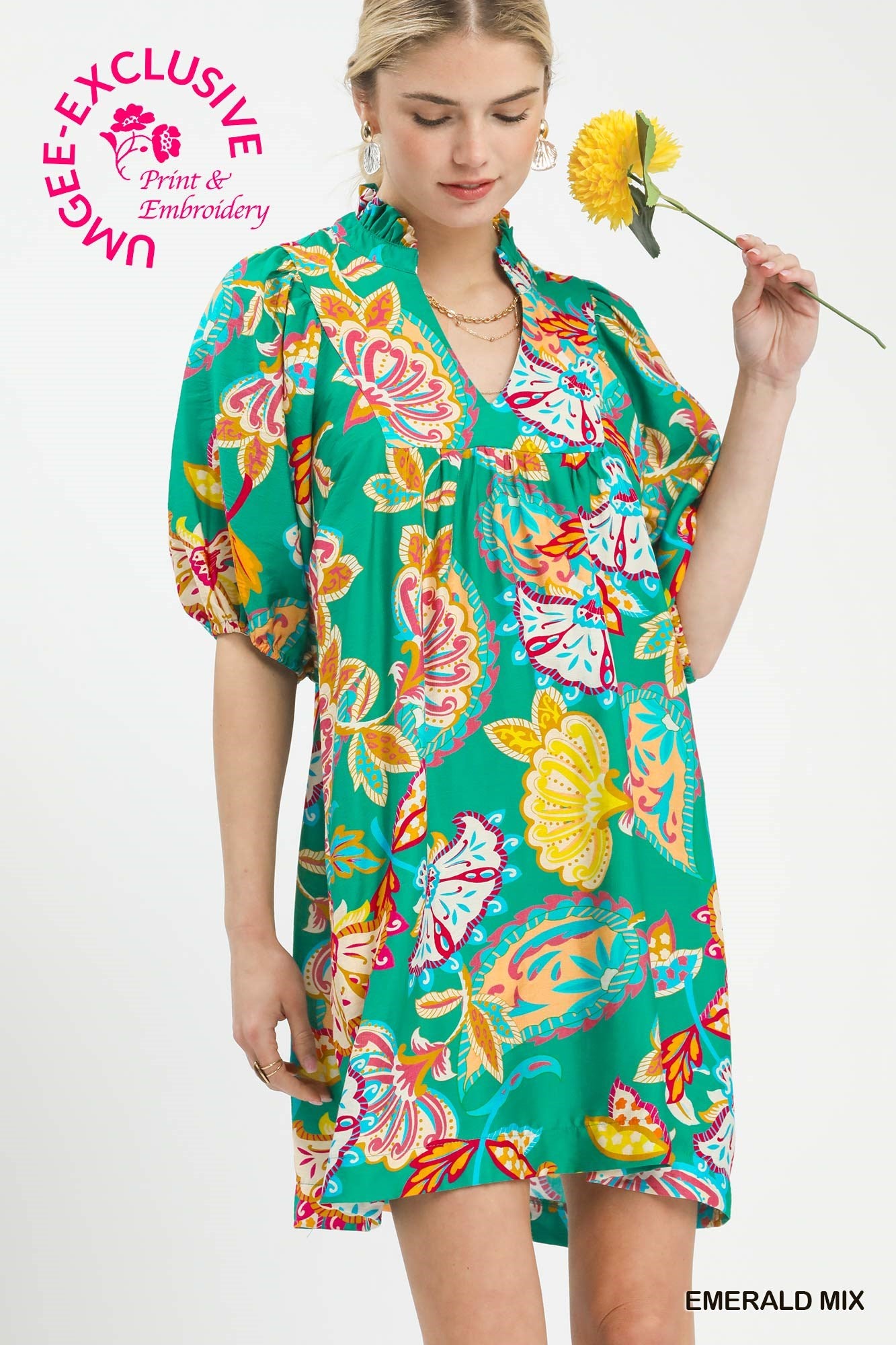 Paisley Print Dress